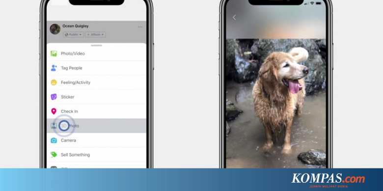 Download 54 Koleksi Background Bunga Jernih Gratis
