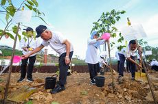 Hijaukan IKN, Otorita Tanam 712 Bibit Pohon