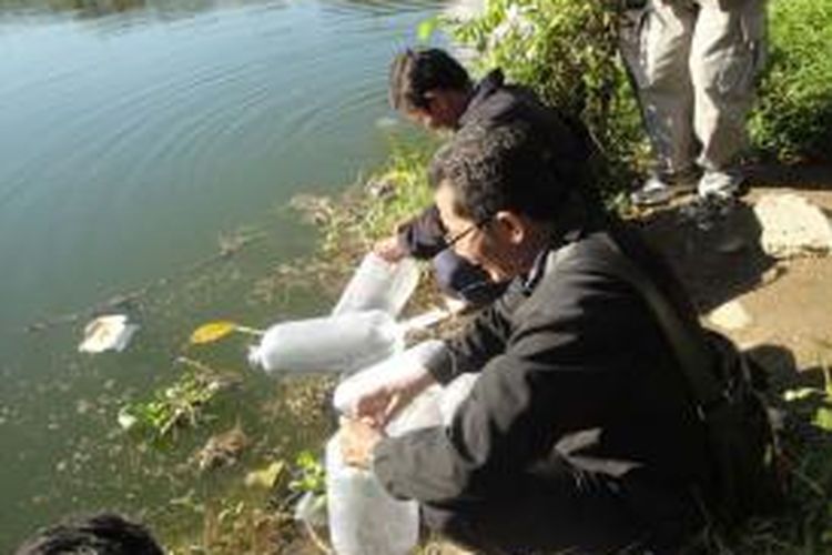 petugas menebar benih ikan Nila digenangan sekitar rumah penduduk kawasan Denpasar Selatan