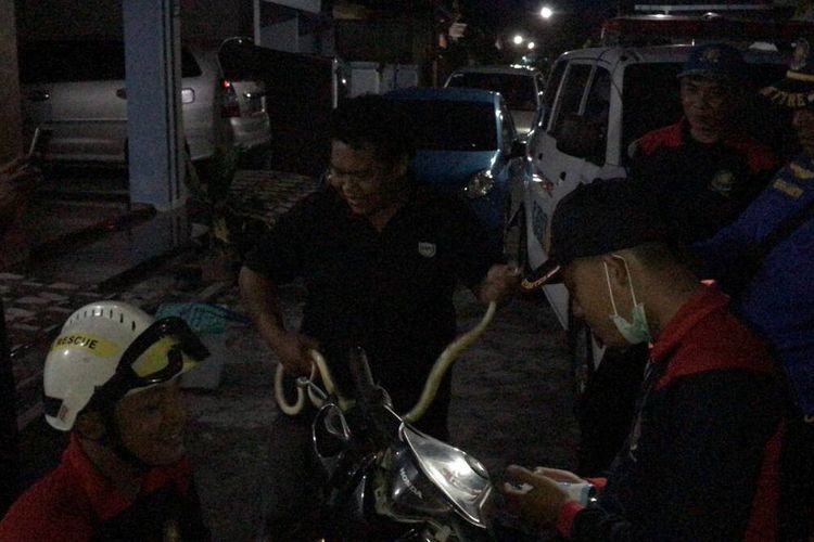 Sejumlah petugas pemadam kebakaran Trenggalek Jawa Timur, mengevakuasi ular yang menelinap di sepeda motor milik warga, Kamis (22/09/2022).