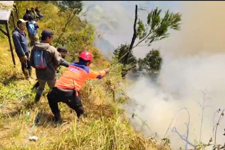 Kebakaran Hutan Bromo Meluas hingga 70 Hektare, Helikopter BNPB Dikerahkan