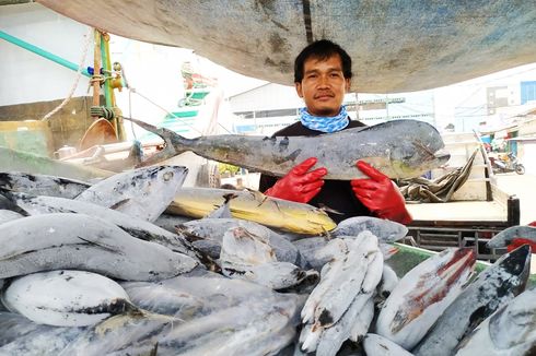 Ekspor Produk Perikanan Indonesia pada Semester I 2021 Naik 7,3 Persen