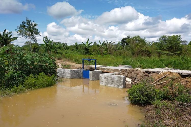 Infrastruktur optimasi lahan rawa di Desa Netampin, Barito Timur