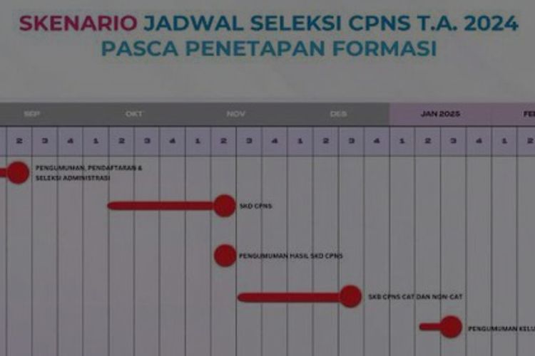 Informasi yang dinarasikan merupakan skenario jadwal seleksi CPNS 2024