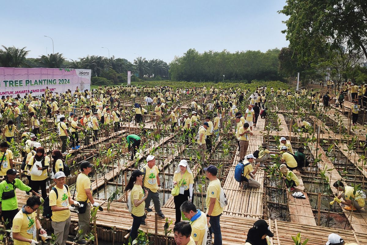 Aeon Environmental Foundation (AEF) melanjutkan program penanaman pohon di Indonesia tahap kelima fase kedua di Pantai Indah Kapuk, Jakarta (28/9/2024).
