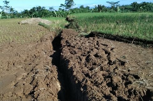 Soal Tanah Bergerak di Sukabumi, BPBD Tunggu Kajian dan Rekomendasi Badan Geologi