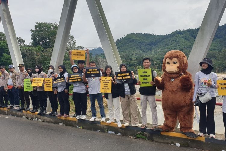 Hari Orangutan se-Dunia: Koalisi Masyarakat Sipil Kampanye Selamatkan Orangutan Tapanuli di Batangtoru