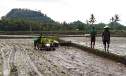 Data Produksi Beras Baru Usik Kelompok Tani