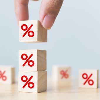 Ilustrasi suku bunga. 