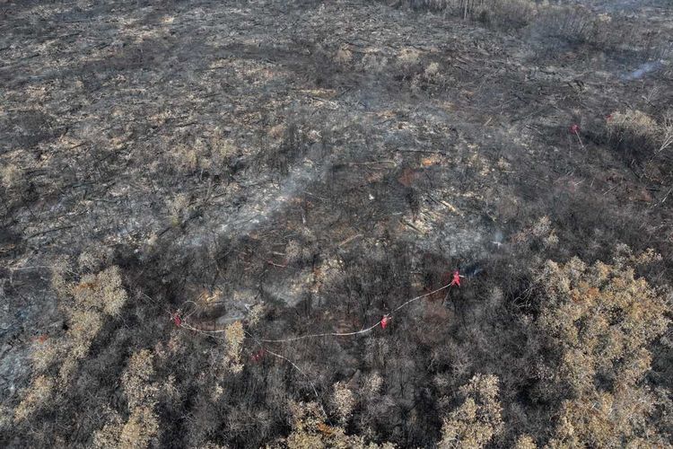 Titik Karhutla di Muara Enim, Ogan Ilir, dan OKI Padam, Sumsel Tetap Siaga Cuaca Panas Sepekan