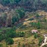420 Hektar Tahura Bukit Soeharto IKN Terbakar