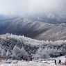 Wisata Gunung Jiri, Lokasi Syuting Dama Korea Jirisan