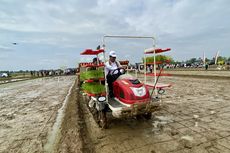 Kunjungi Petani di Lampung, Mentan Amran Ikut Tanam Padi