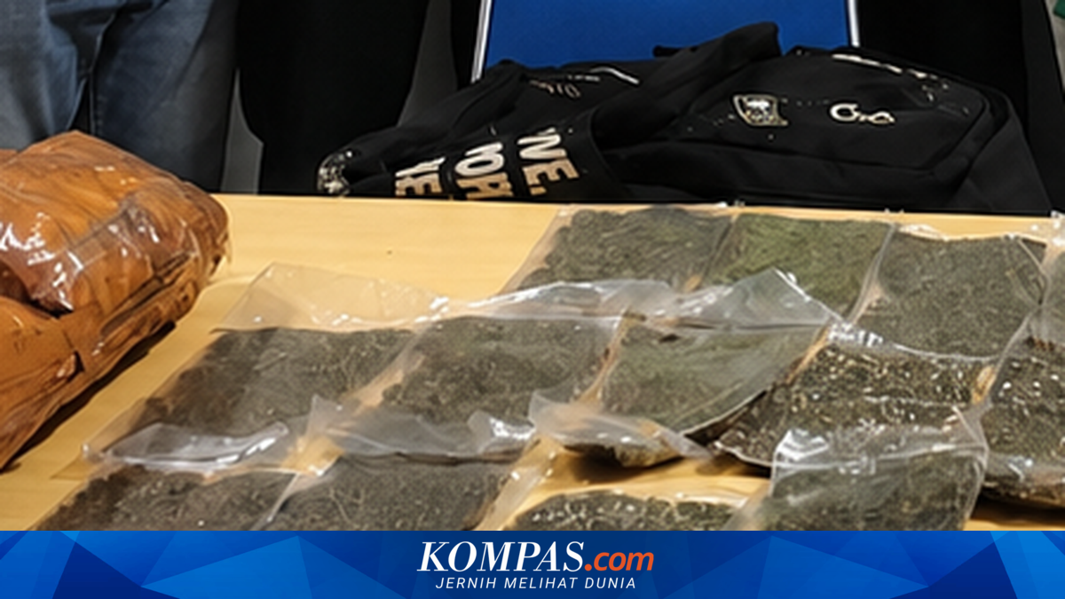 Hendak Selundupkan 2,6 Kg Ganja, Calon Penumpang Lion Air Ditangkap di Bandara Sentani