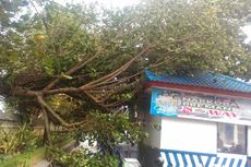 Angin Kencang, Pohon Tumbang Timpa Pos Polisi di Pantai Kuta