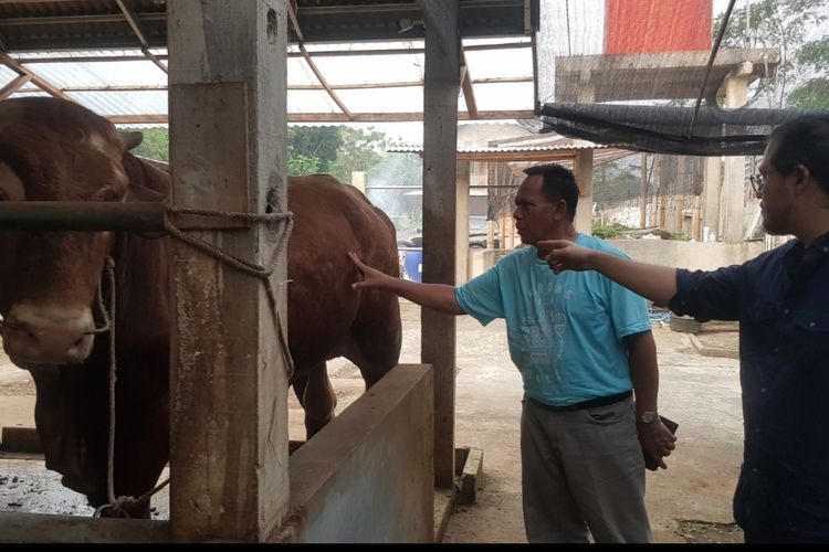 Kepala Dispertan Pemalang Wahadi berbincang dengan pemilik kandang Lembu Utara Farm di Desa Peguyangan, Kecamatan Bantarbolang, Pemalang