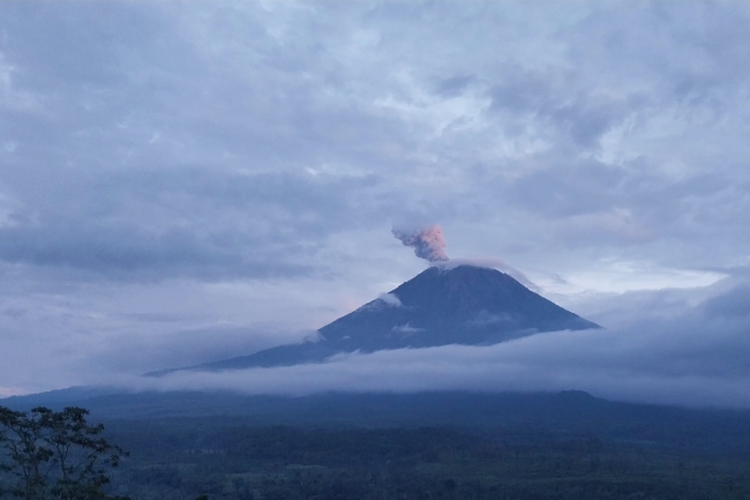 Senin Pagi, Gunung Semeru Letuskan Abu Vulkanik Setinggi 1.000 Meter