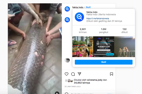 Video Viral Ikan Raksasa Arapaima Ditemukan Warga Garut, Apakah Berbahaya?