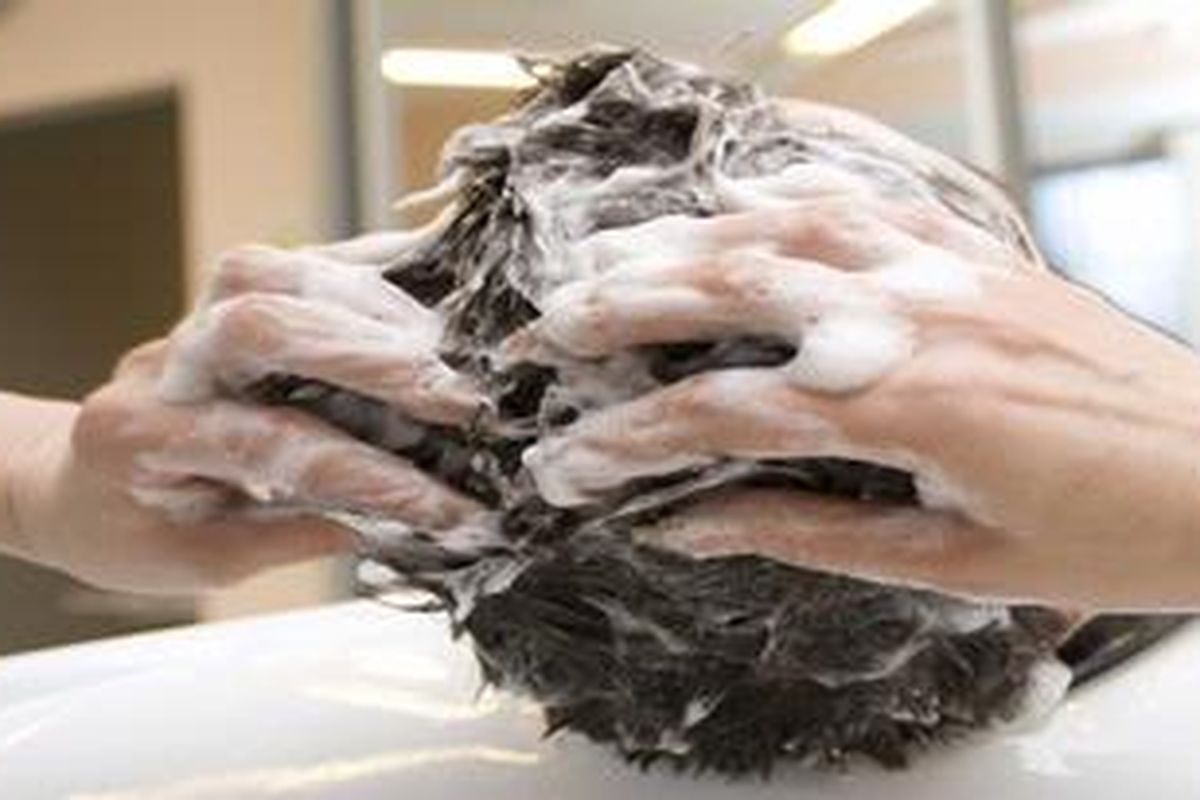 Seusai pakai sampo, langsung bilas, tak perlu didiamkan.