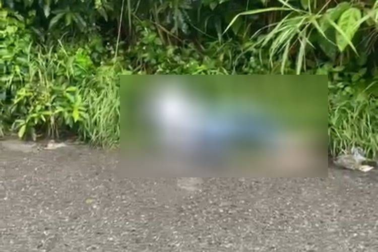 Seorang wanita ditemukan tewas di pinggir Jalan Ismail Harun, Desa Tembung, Kecamatan Percut Sei Tuan, Kabupaten Deli Serdang, Sumatera Utara (Sumut) pada Selasa (12/11/2024) pagi.