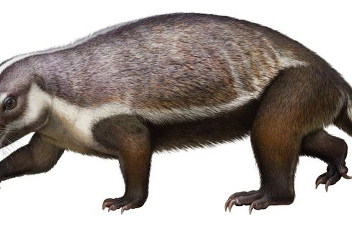 ilustasi Adalatherium hui, mamalia aneh dari Madagaskar