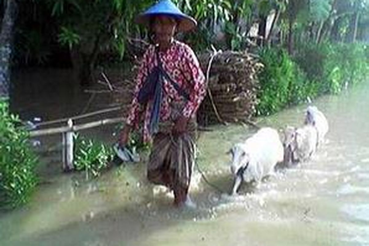 Air Bengawan Solo terus meluap merendam sawah dan sebagian rumah waga. Sebagian warga Desa Sumbangtimun Kecamatan Trucuk bersiaga