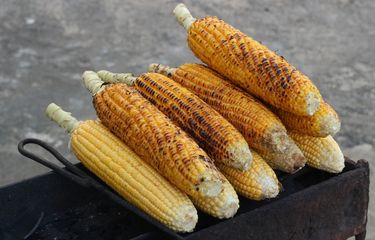 2 Cara Bikin Jagung Bakar Buat Tahun Baru, Jangan Beli Jagung Berkulit  Kering Halaman All - Kompas.com