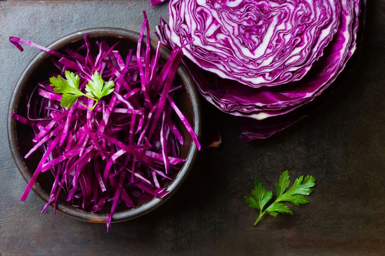 Ilustrasi red cabbage. 