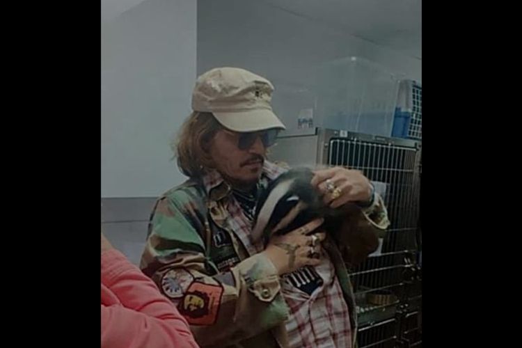 Pusat Penyelamatan Satwa Liar Folly di Kent, Inggris, berbagi foto Johnny Depp tengah memeluk badger atau luak di fasilitas mereka.