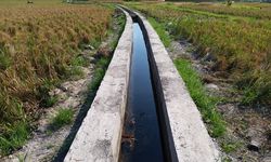 Para Petani di Desa Girimukti Tak Takut Lagi akan Kemarau