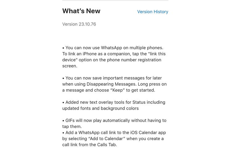Ilustrasi pembaruan versi WhatsAp iOS  23.10.76.