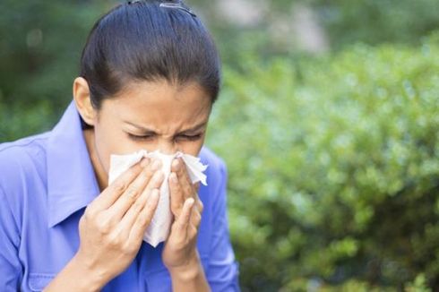 Hidung Sering Berair Tak Selalu Gejala Flu