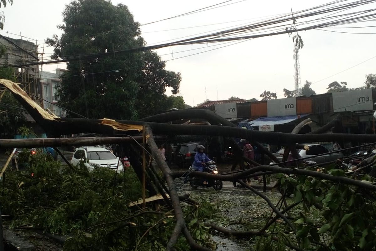 Pohon tumbang di Jalan Tole Iskandar, Depok, Senin (4/1/2019).