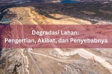 Degradasi Lahan: Pengertian, Akibat, dan Penyebabnya