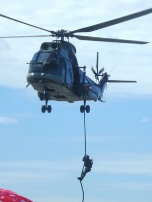 Seorang anggota Paskhas TNI AU turun dari helikopter Super Puma dengan menggunakan teknik fast-rope. Peristiwa tersebut merupakan bagian dari simulasi pembebasan sandera yang diperagakan oleh personel Satuan Detasemen Bravo 90 (Satbravo 90) Paskhas dalam rangka merayakan HUT ke-71 TNI AU di Halim Perdanakusuma, Minggu (9/4/2017).