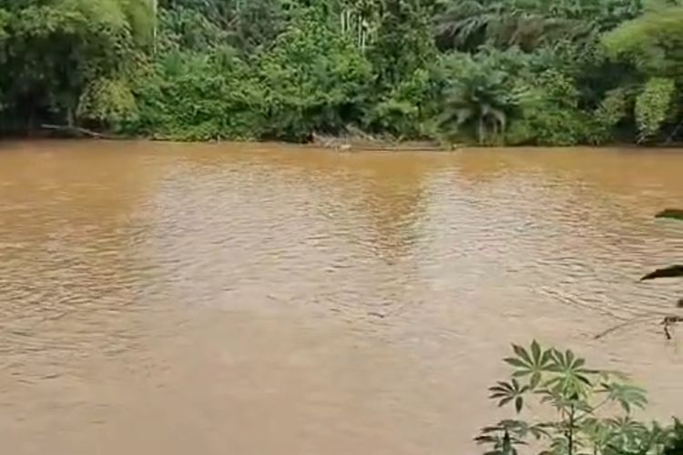 Warga Kampar Keluhkan Sungai Keruh Dua Bulan, Diduga Dampak Tambang Emas Ilegal di Hulu Sumbar