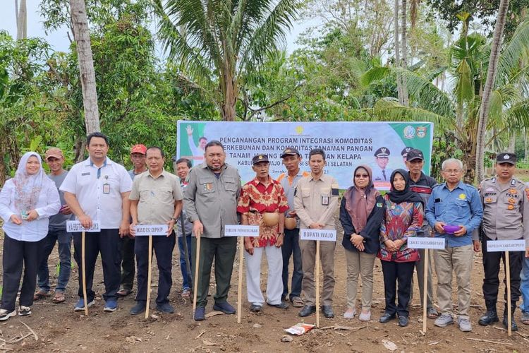 Mewakili Menteri Pertanian, Direktur Jenderal Perkebunan (Dirjen Perkebunan) Andi Nur Alam Syah menggelar pencanangan program integrasi komoditas perkebunan dengan tanaman pangan di Wajo, Sulawesi Selatan (Sulsel).
