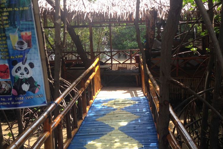 Wisata susur mangrove di Desa Kaliwingi, Kecamatan Brebes, Kabupaten Brebes, Jawa Tengah.