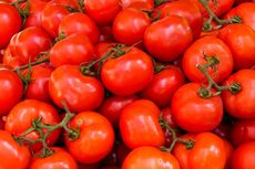 Apa Saja Manfaat Tomat Ceri untuk Kesehatan?