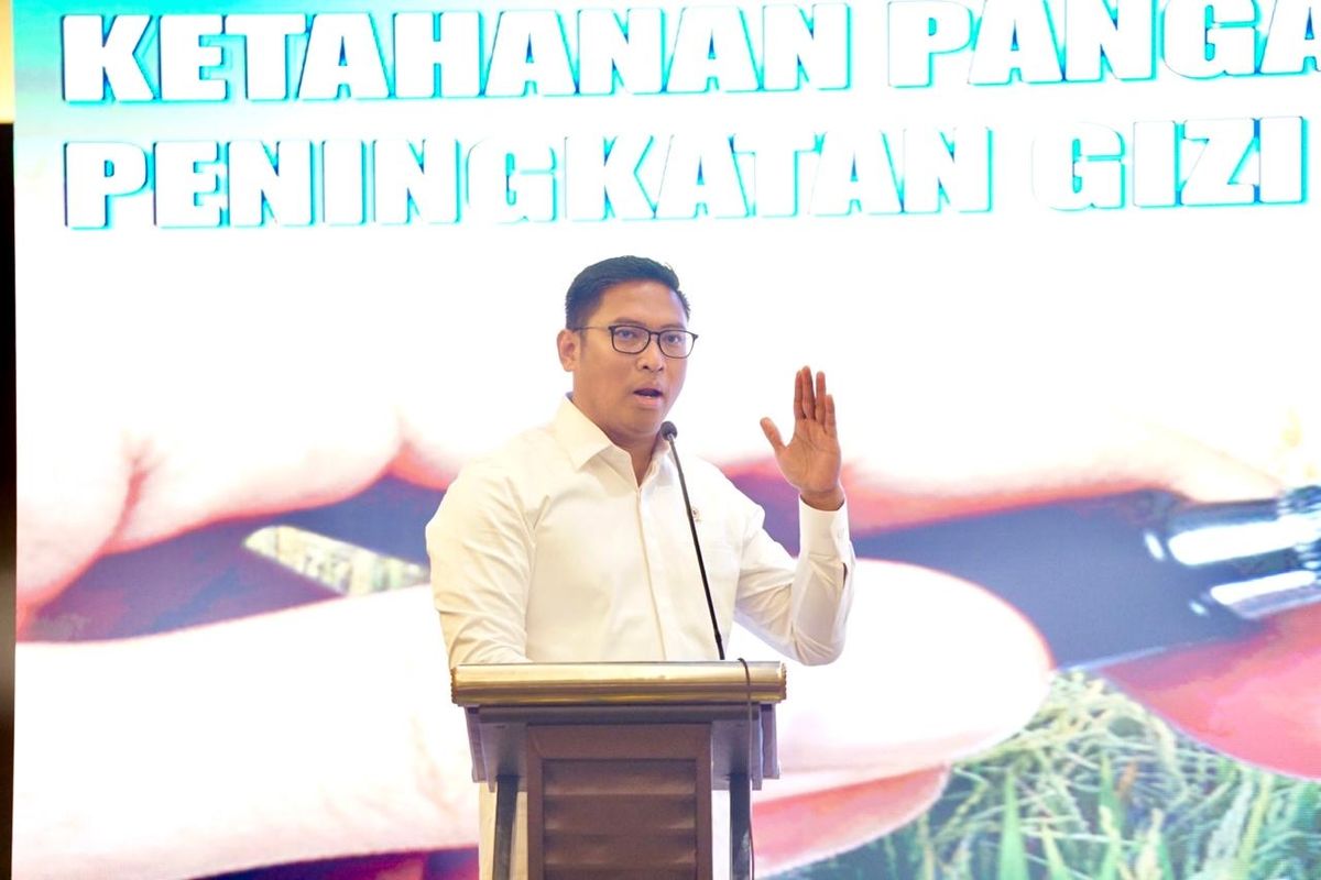 Wamentan: Tanpa Program Cetak Sawah, Kita Mau Makan Apa? Halaman all