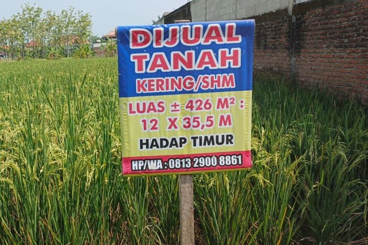 Kenapa SHM Dianggap Jadi Sertifikat Tanah Paling Aman?