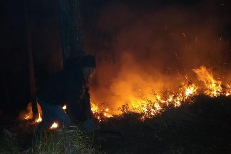 Petugas saat berusaha memadamkan api di Gunung Arjuno.