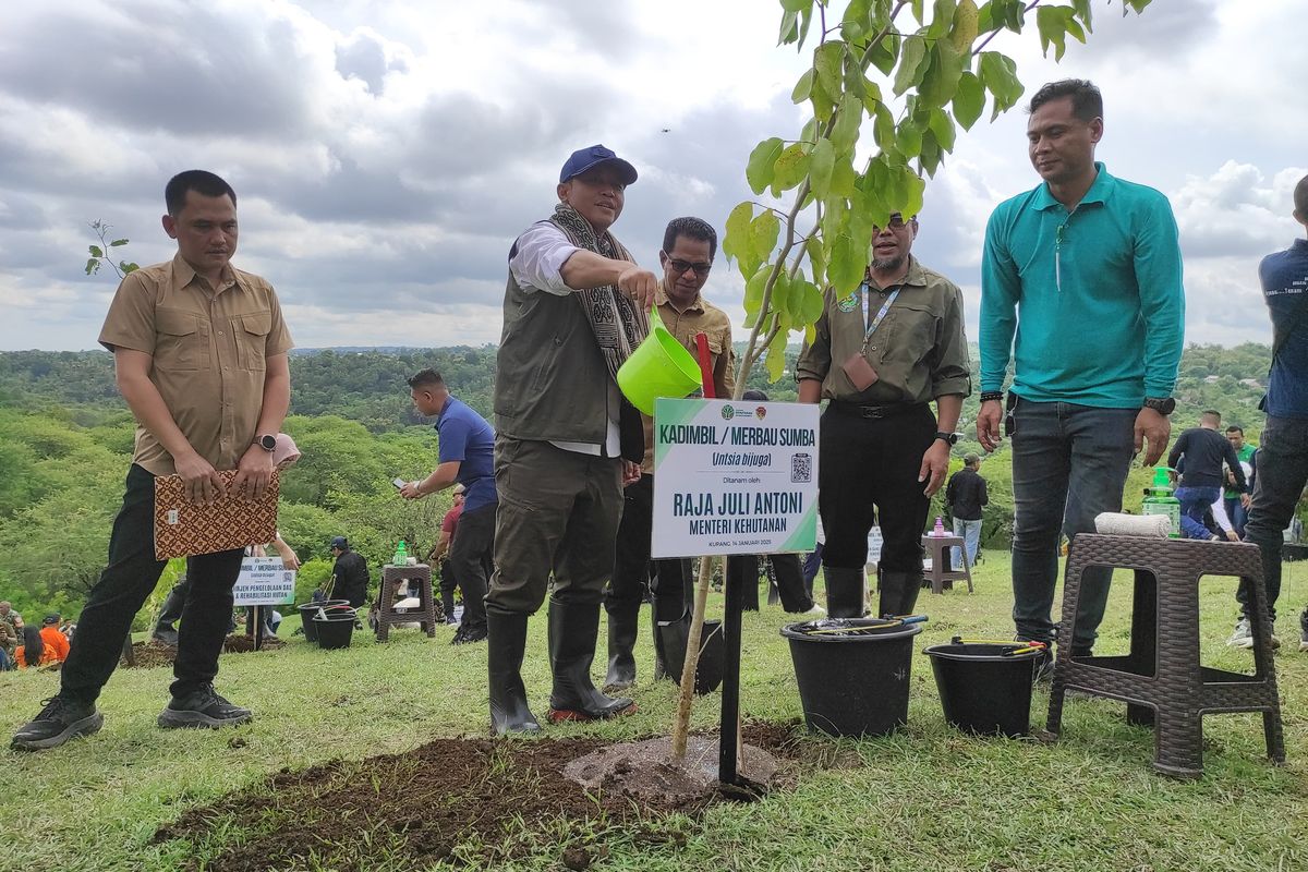 Tanam Pohon Serentak, Menhut: Hutan Lestari, Pembangunan Tak Boleh Henti