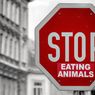 Pola Makan Vegan demi Kesehatan Diri dan Planet Bumi...