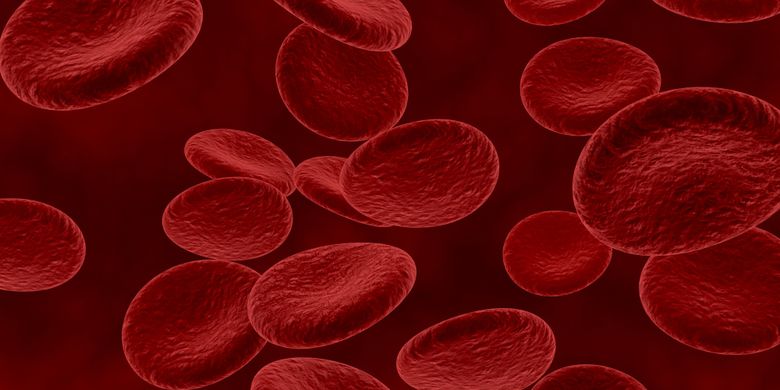 anemia adalah