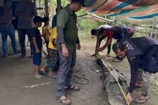 Warga Aceh Tamiang Tangkap Buaya Sepanjang 3 Meter