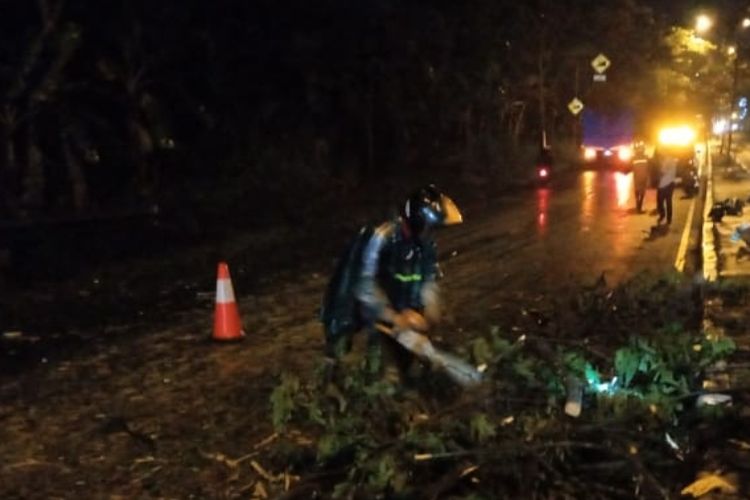 Petugas BPBD dan relawan membersihkan pohon tumbang di Jalan Lingkar Salatiga