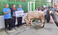 Maknai Idul Adha, Pertamina Berbagi Lebih dari 4.400 Hewan Kurban