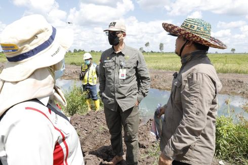 Dirjen PSP Kementan: Food Estate Jadi Benteng Ketahananan Pangan Nasional