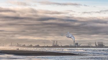 Penyakit Kronis Meningkat, Makanan UPF hingga Bahan Bakar Fosil Jadi Pemicu